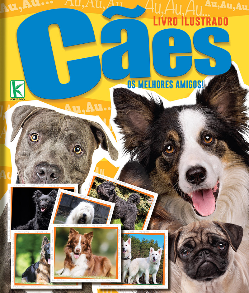 Clique aqui para visualizar a foto